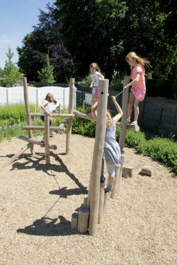 Robinia Ravijnbrug 2