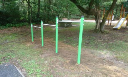 4038 Regenboogduikelrek 4038 Regenboogduikelrek