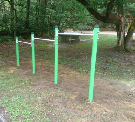 4038 Regenboogduikelrek 4038 Regenboogduikelrek