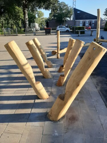 8117 Robinia evenwichtsparcours