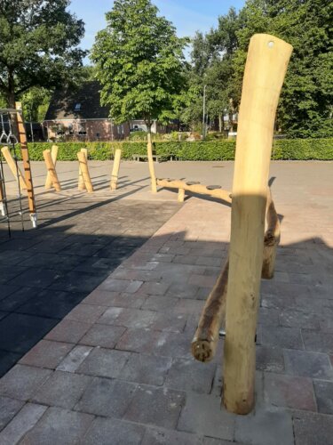 8117 Robinia evenwichtsparcours