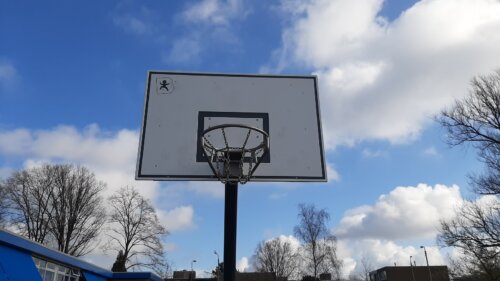 6310 Basketbalpaal