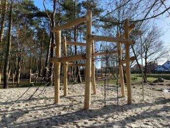 8154 Robinia klimtoestel Lars