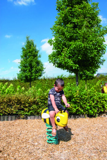 RO199 Robinia veerfiguur Bij