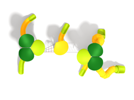 1212-Brooklynn-1.png 1212-Brooklynn-1.png