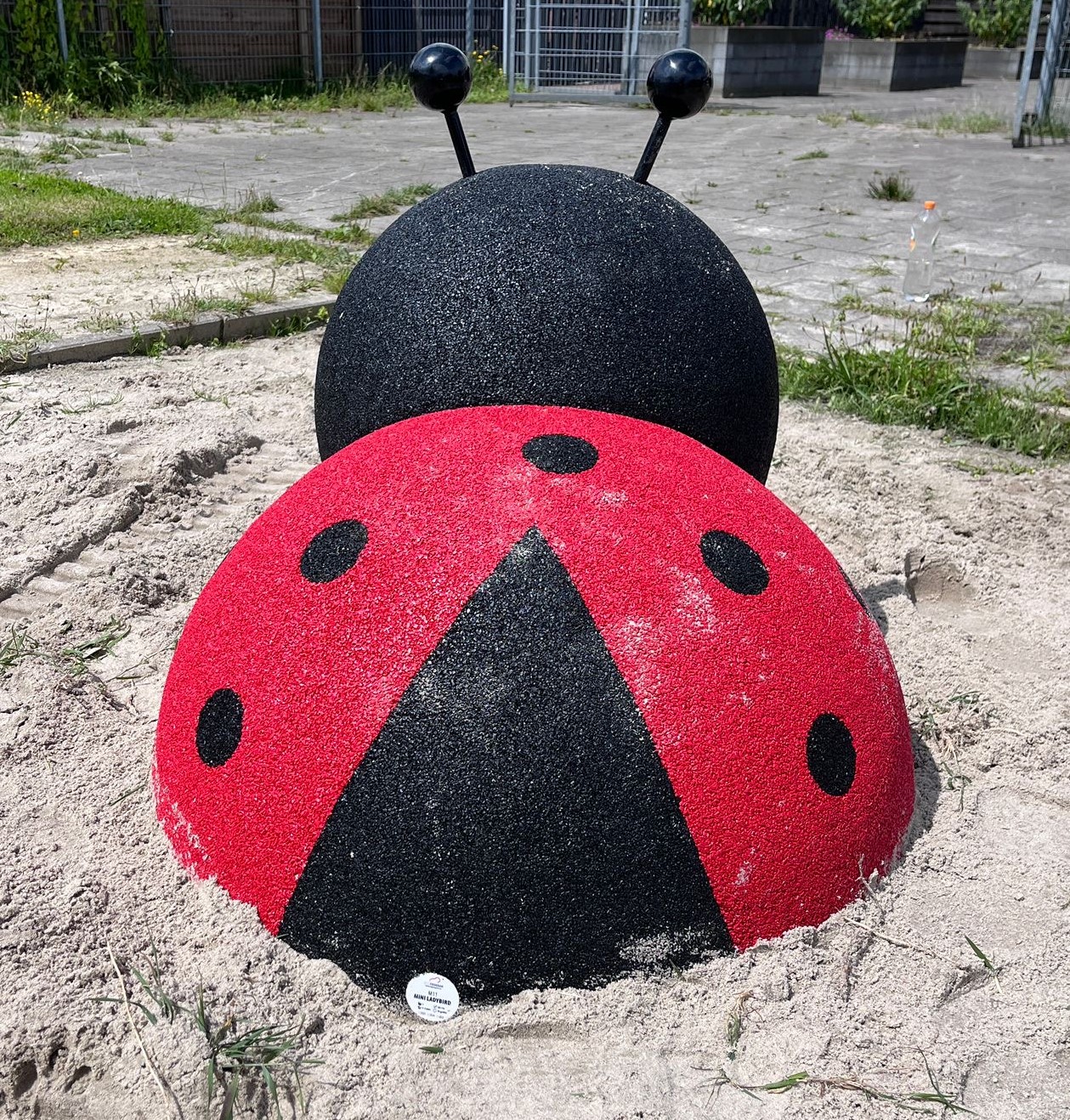 3D Animal Lieveheersbeestje (3)