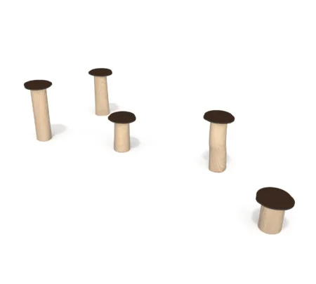 8115-Robinia-stappalen-website.png