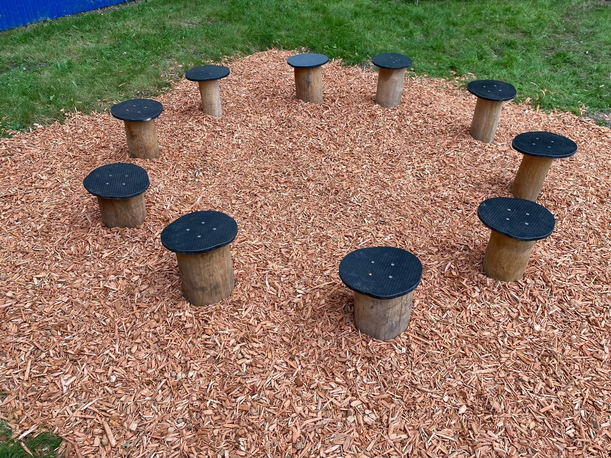 8115-Robinia-stappalen.jpg