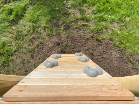 8126-Robinia-toren-Ivar-6.jpg 8126-Robinia-toren-Ivar-6.jpg