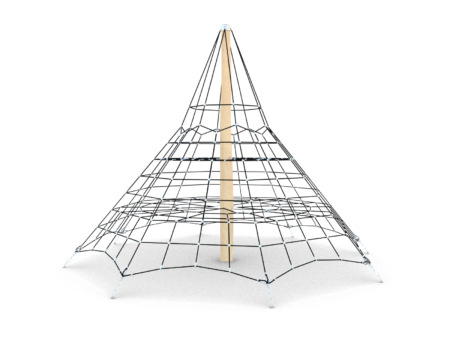 Robinia klimpiramide