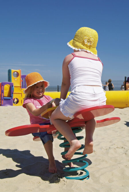 8700-veerfiguur-zonnebloem-afb.jpg 8700-veerfiguur-zonnebloem-afb.jpg