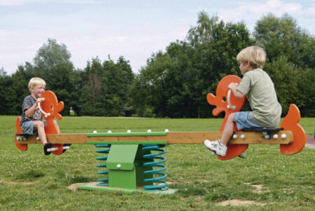 8900-veerwip-Tweelingeend-afb.jpg 8900-veerwip-Tweelingeend-afb.jpg