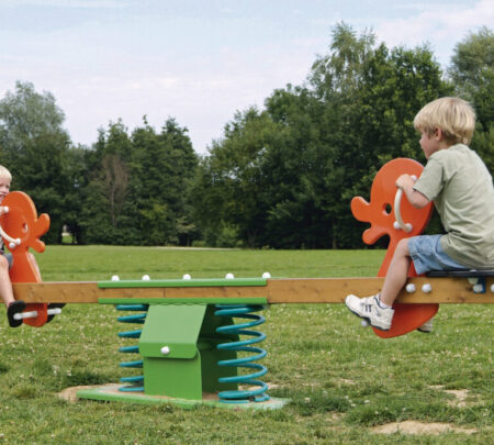 8900-veerwip-Tweelingeend-afb.jpg 8900-veerwip-Tweelingeend-afb.jpg