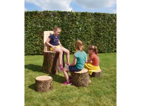 Boomstammen Boomstammen