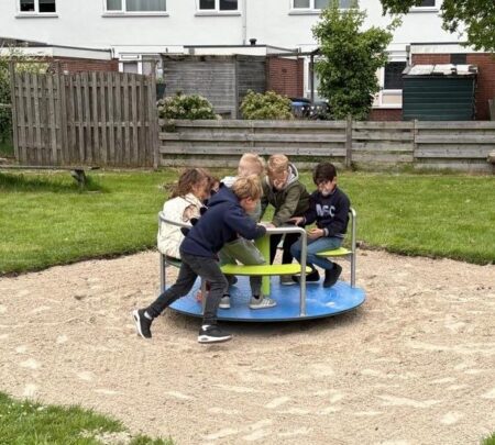 Draaimolen RVS met bank