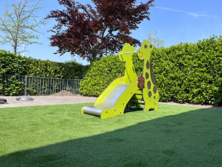 Glijbaan Giraf