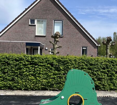 Glijbaan Krokodil Glijbaan Krokodil