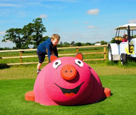 Playtop-3D-animal-mini-varken-2.jpg Playtop-3D-animal-mini-varken-2.jpg