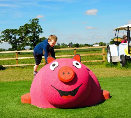 Playtop-3D-animal-mini-varken-2.jpg Playtop-3D-animal-mini-varken-2.jpg