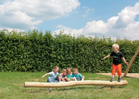 Robinia evenwichtsbalk Robinia evenwichtsbalk