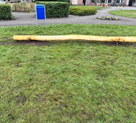 RO330-Robinia-evenwichtsbalk-1.jpg RO330-Robinia-evenwichtsbalk-1.jpg