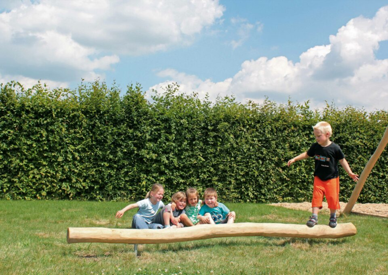 Robinia evenwichtsbalk Robinia evenwichtsbalk