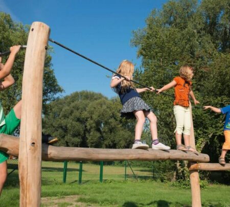 RO700-Robinia-Ravijnbrug-1.jpg RO700-Robinia-Ravijnbrug-1.jpg