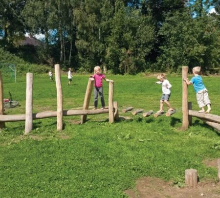 RO750-Robinia-Junglepad-2.jpg RO750-Robinia-Junglepad-2.jpg