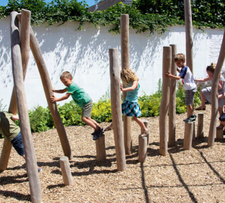 RO835-Robinia-palenbos-Maxi-35-palen-2-.jpg RO835-Robinia-palenbos-Maxi-35-palen-2-.jpg