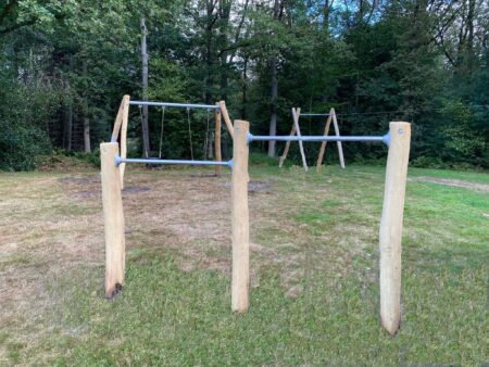 Robinia-2-delig-duikelrek.jpg Robinia-2-delig-duikelrek.jpg