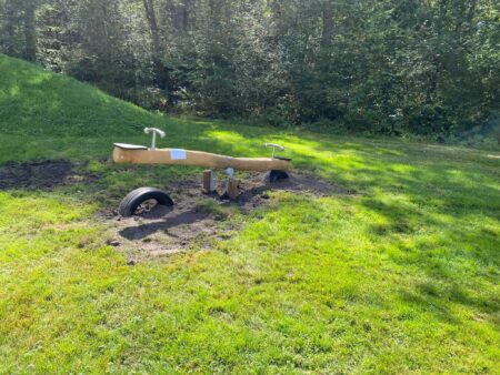 Robinia-2-zits-wip.jpg Robinia-2-zits-wip.jpg