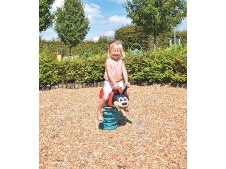 Robinia Veerfiguur Lieveheersbeestje Robinia Veerfiguur Lieveheersbeestje