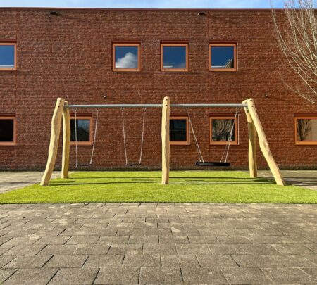 Robinia combinatieschommel (3) Robinia combinatieschommel (3)