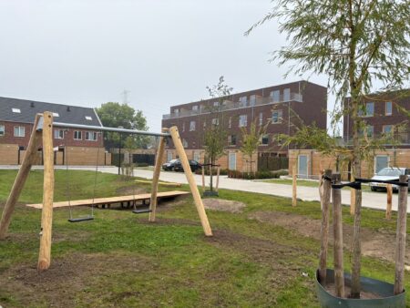 Robinia duo schommel (5)-min Robinia duo schommel (5)-min