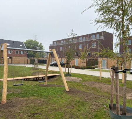 Robinia duo schommel (5)-min Robinia duo schommel (5)-min