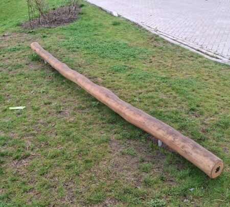 Robinia evenwichtsbalk (1)-min Robinia evenwichtsbalk (1)-min