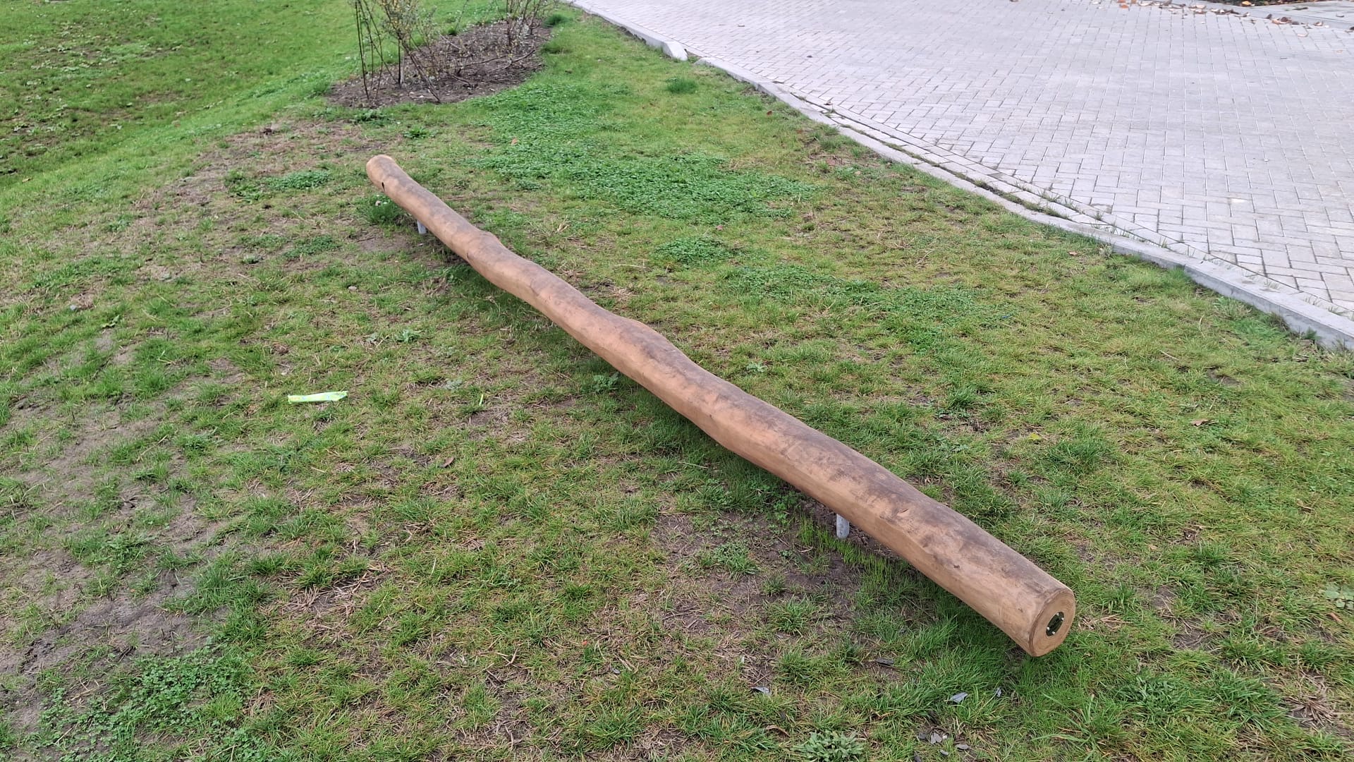 Robinia evenwichtsbalk (1)-min Robinia evenwichtsbalk (1)-min