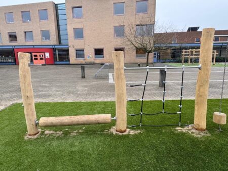 Robinia klimcombinatie (10)