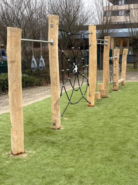 Robinia klimcombinatie (2)