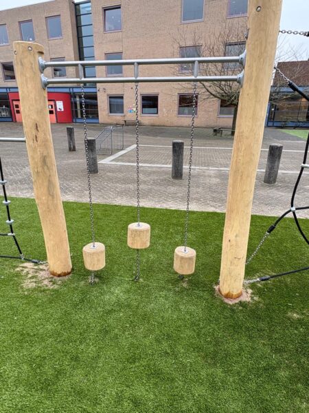 Robinia klimcombinatie (6)