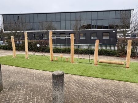 Robinia klimcombinatie (7)