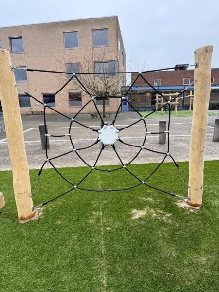 Robinia klimcombinatie (8)