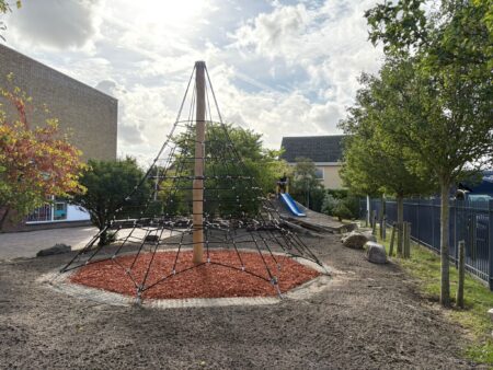 Robinia klimpiramide (1)