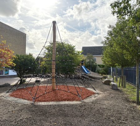 Robinia klimpiramide (1) Robinia klimpiramide (1)