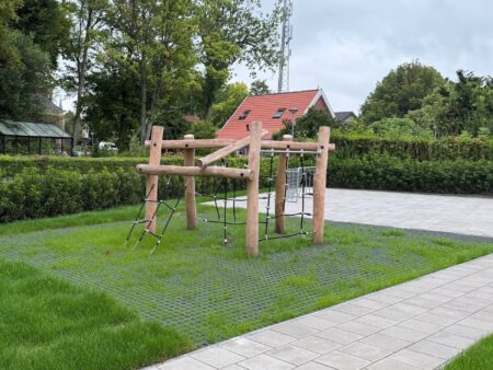 Robinia klimvariatie Norton Robinia klimvariatie Norton