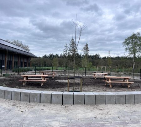 Robinia picknickbanken