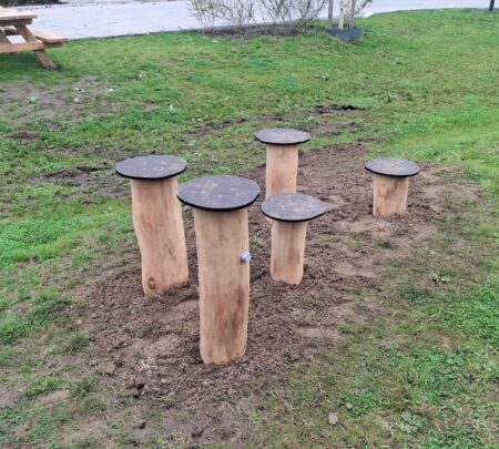 Robinia stappalen-min