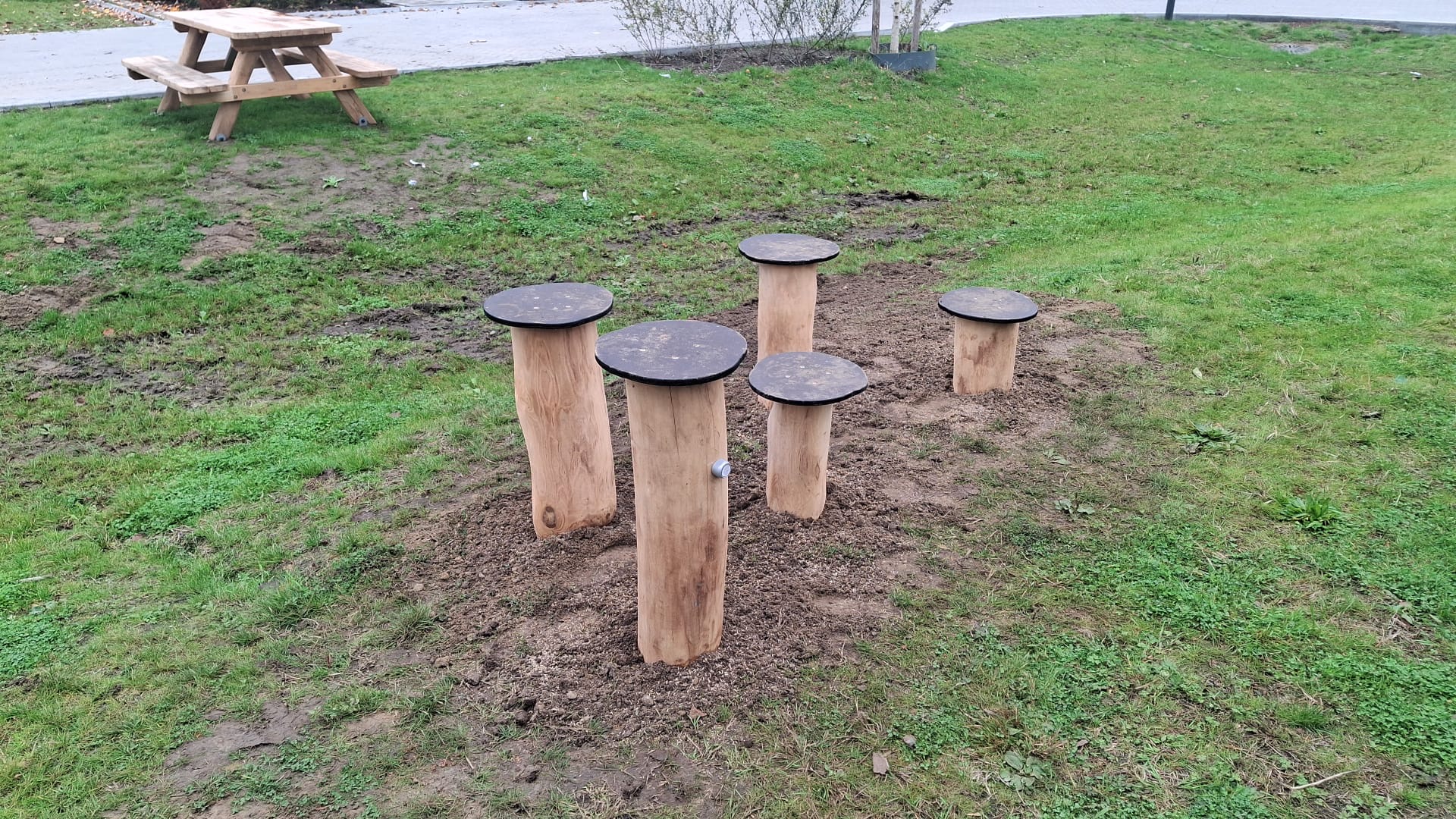 Robinia stappalen-min