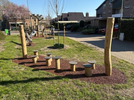 Robinia stapparcours (1)