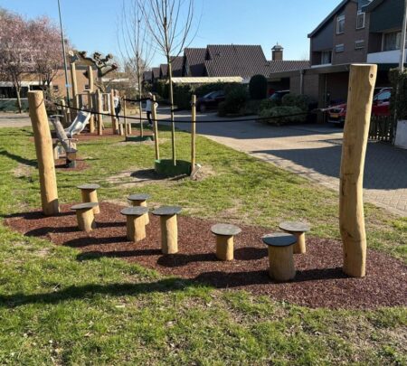 Robinia stapparcours (1) Robinia stapparcours (1)